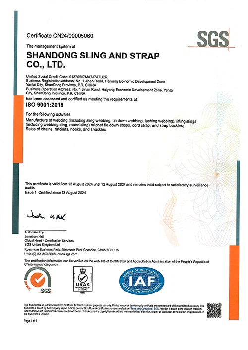 3S SGS ISO9001-2015 Certification